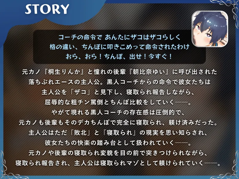 本文説明画像