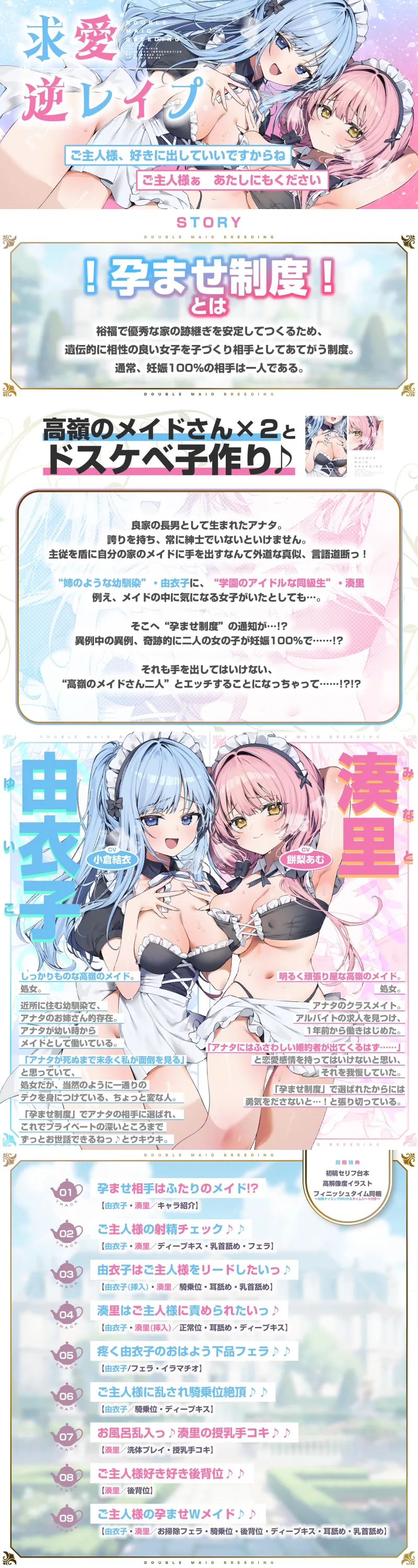 本文説明画像
