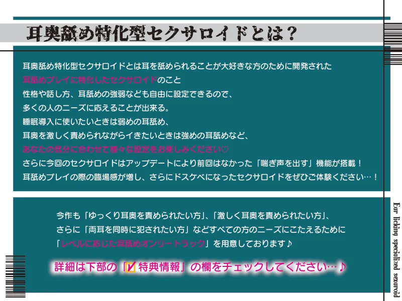 本文説明画像