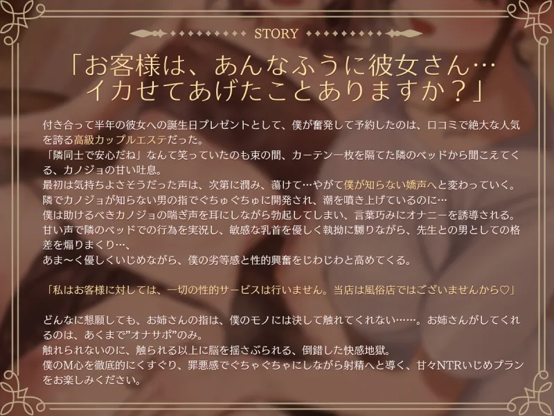 本文説明画像