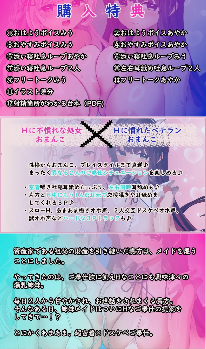 本文説明画像