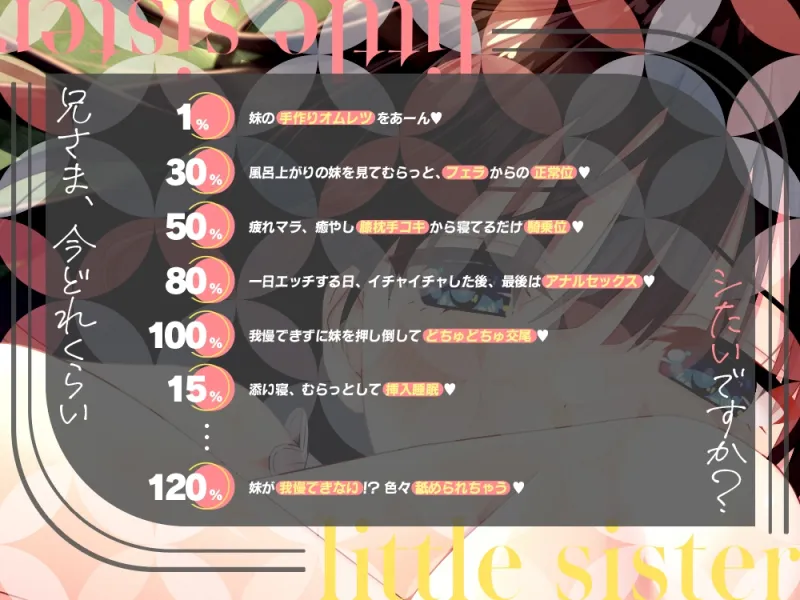 本文説明画像