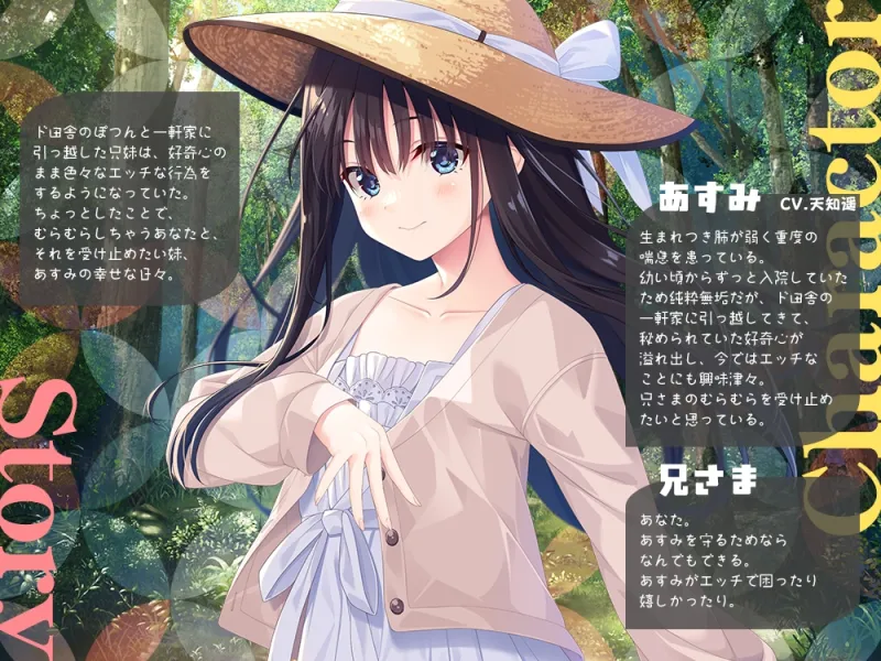 本文説明画像