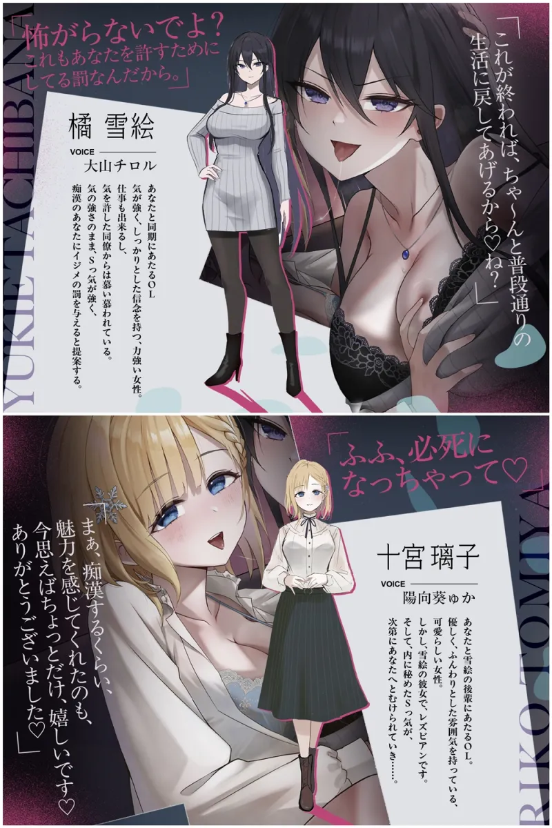 本文説明画像