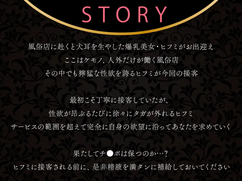 本文説明画像