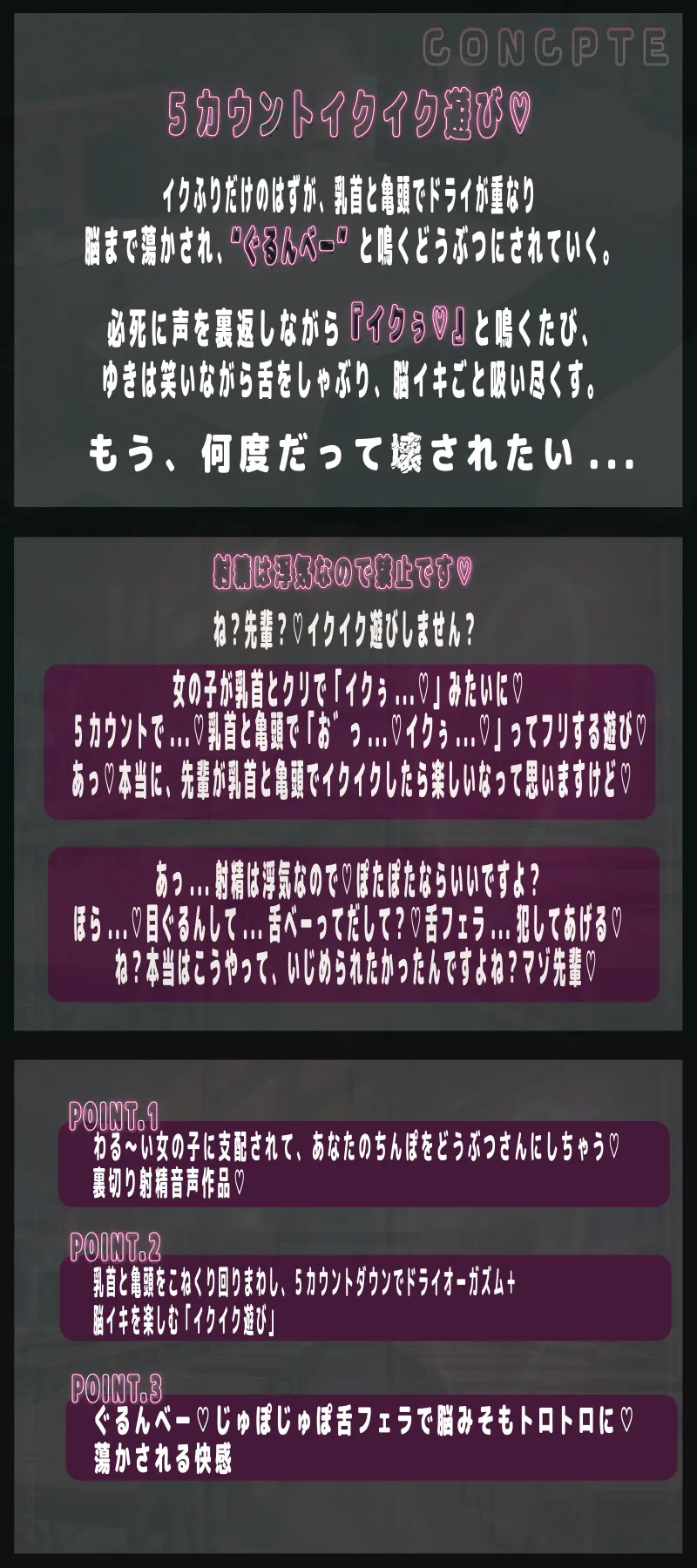 本文説明画像