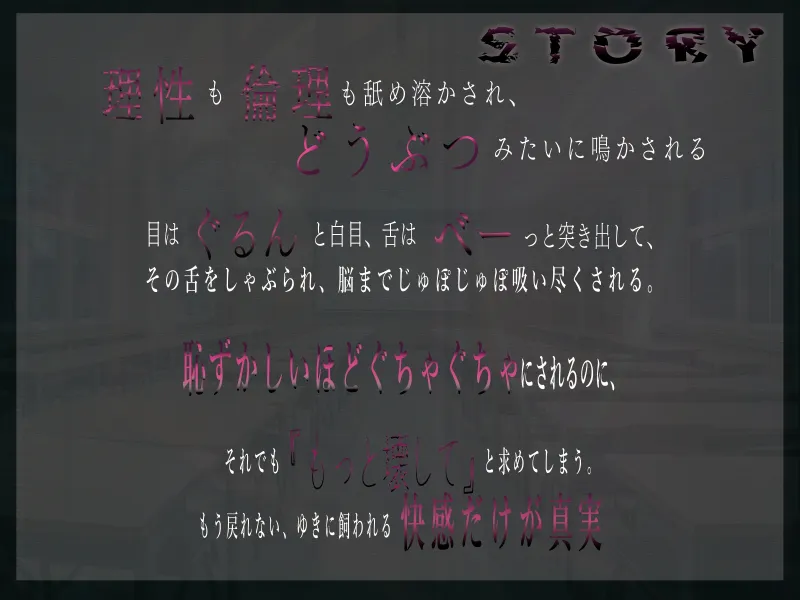 本文説明画像