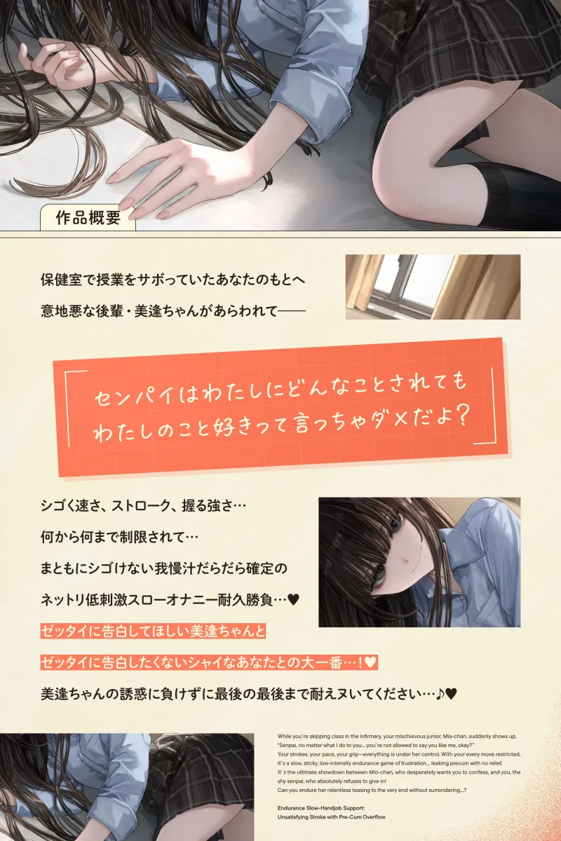 本文説明画像