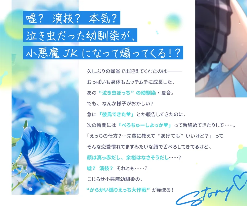 本文説明画像