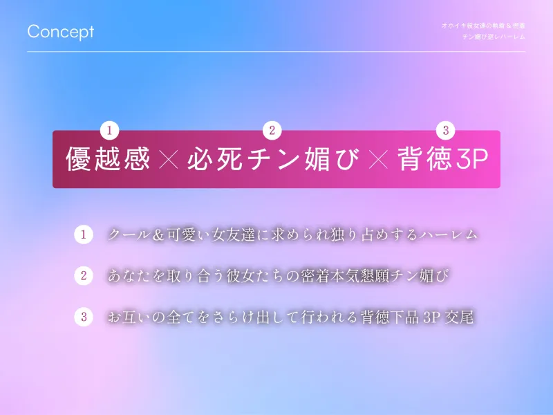 本文説明画像