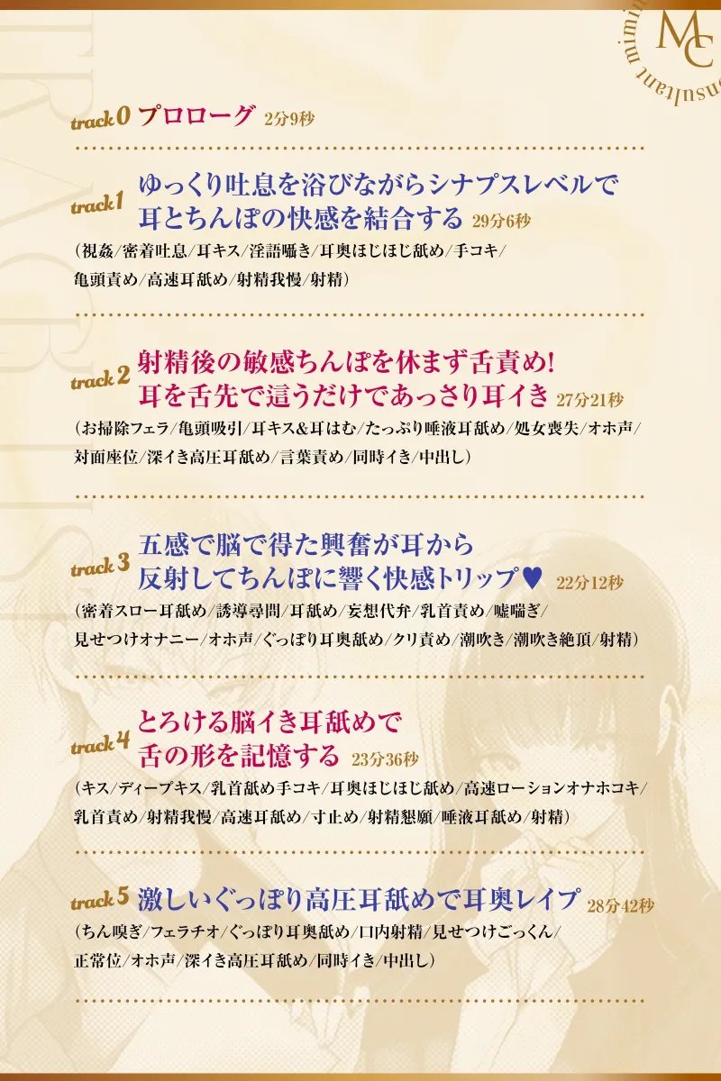 本文説明画像
