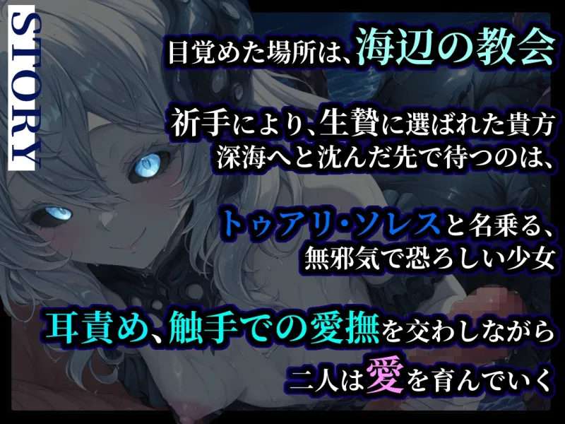 本文説明画像