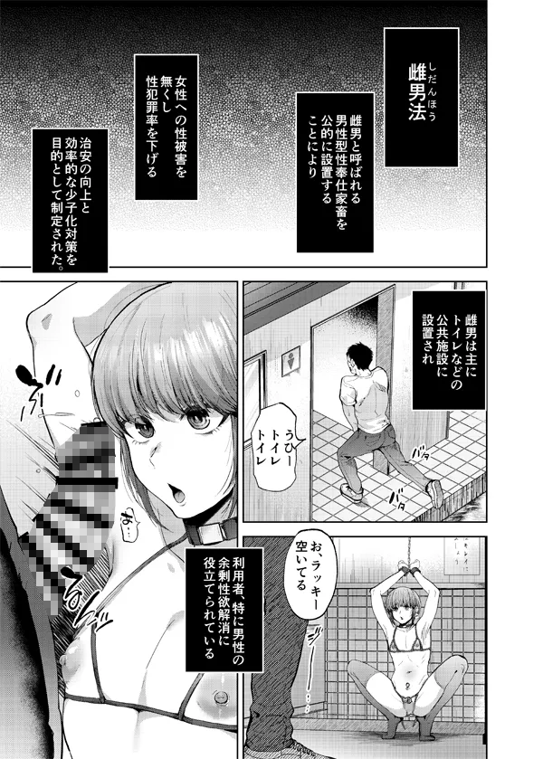 雌男法 社会に活きる男性型性奉仕家畜