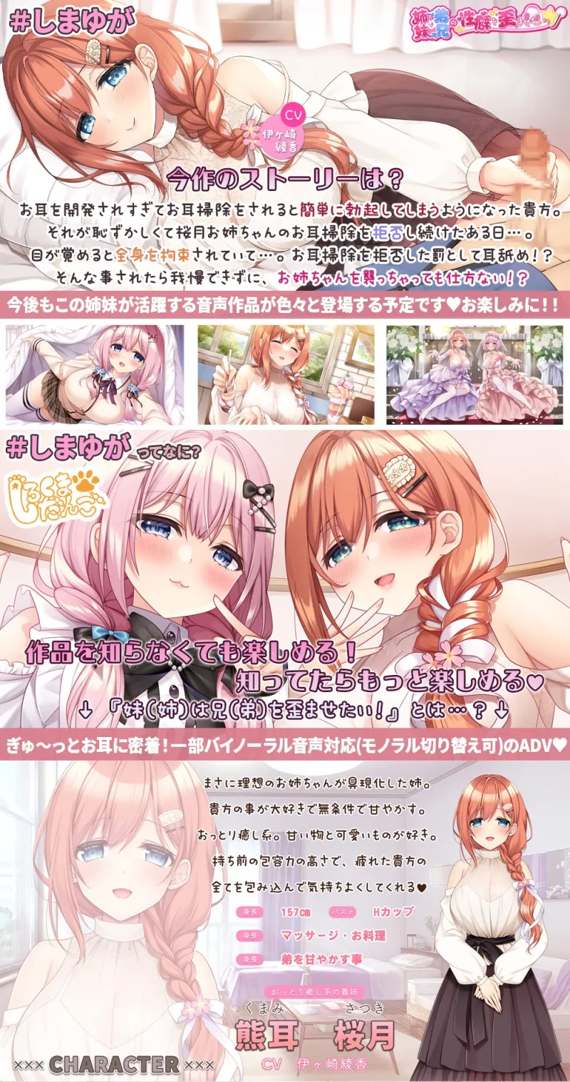 本文説明画像