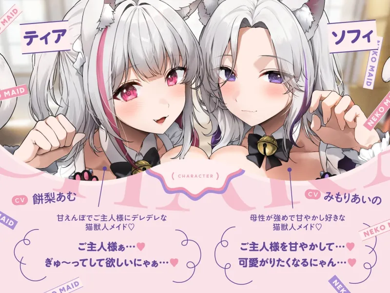 本文説明画像