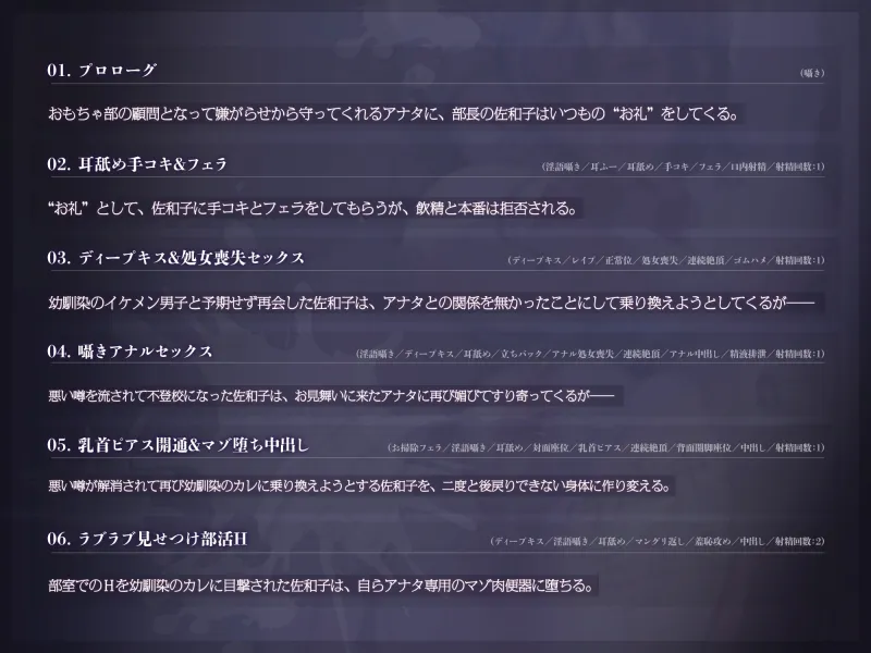 本文説明画像