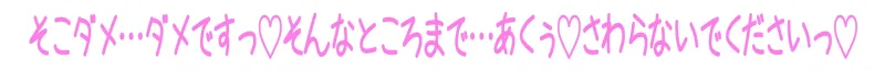 本文説明画像