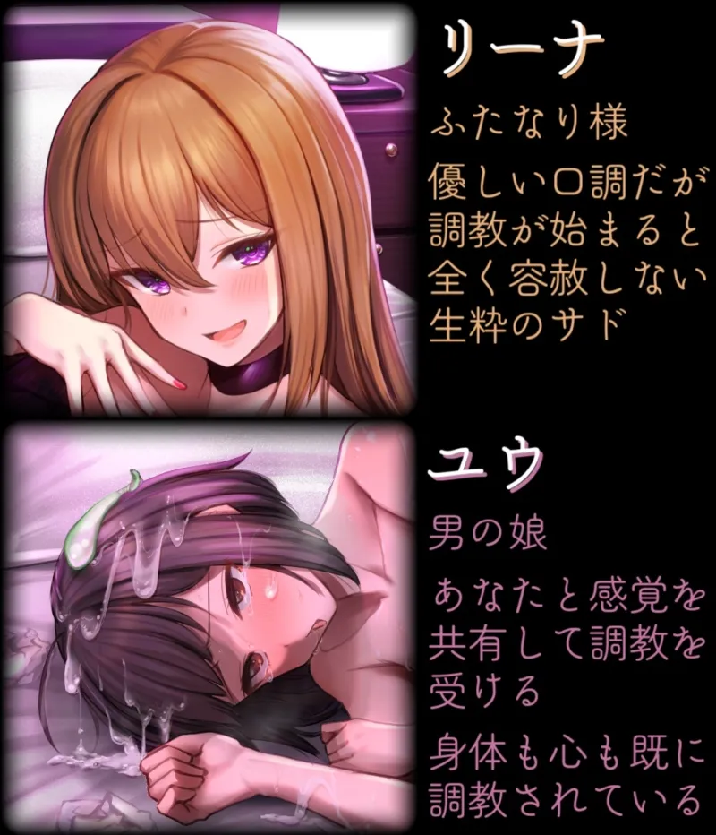 マゾメス前立腺完全敗北 ふたなりチンポで徹底調教される催眠音声