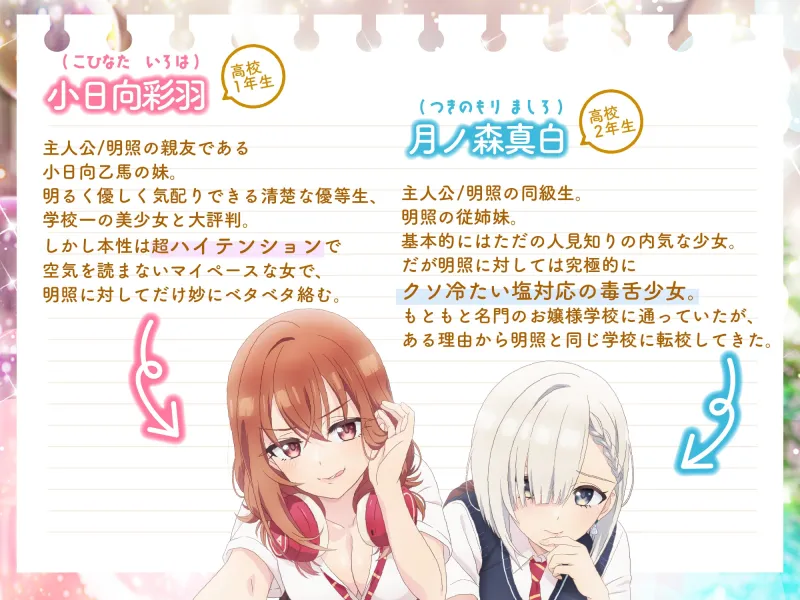 本文説明画像