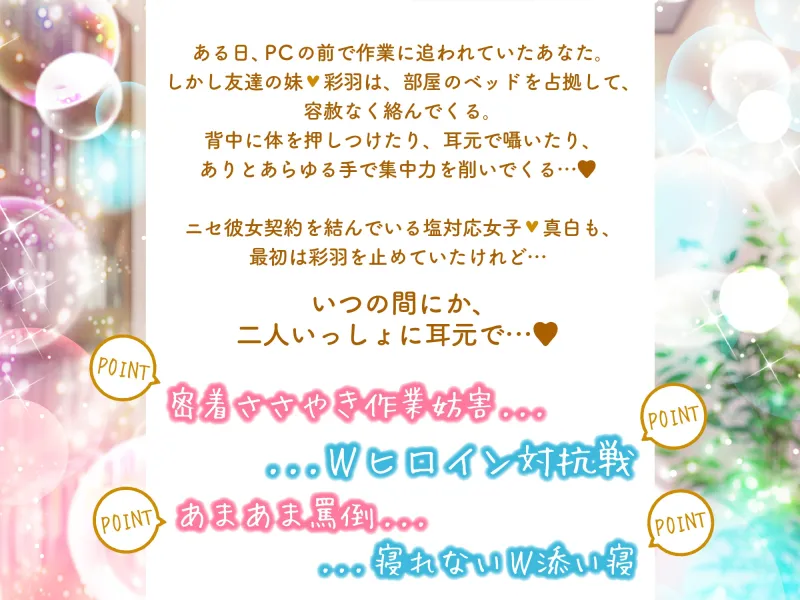 本文説明画像