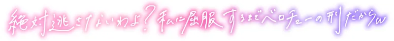 本文説明画像
