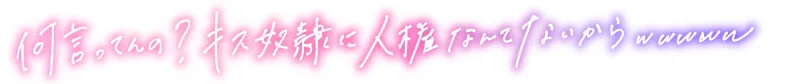 本文説明画像