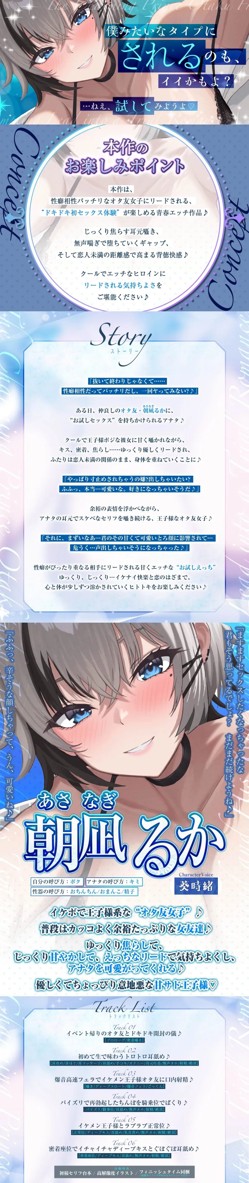 本文説明画像