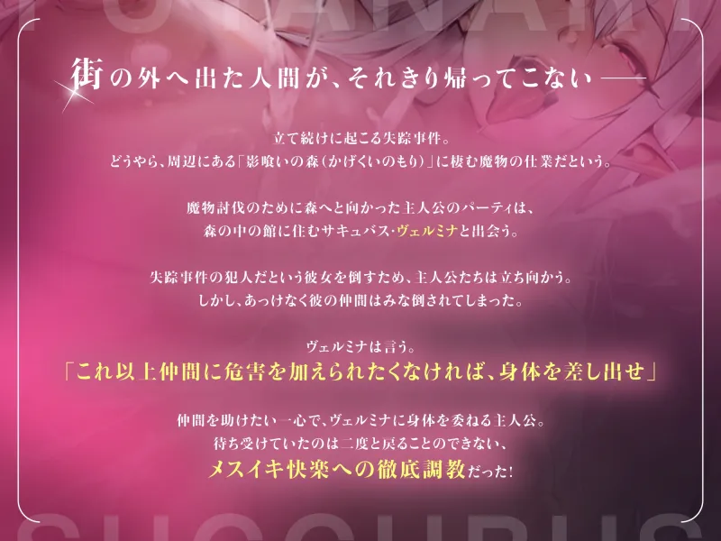 本文説明画像