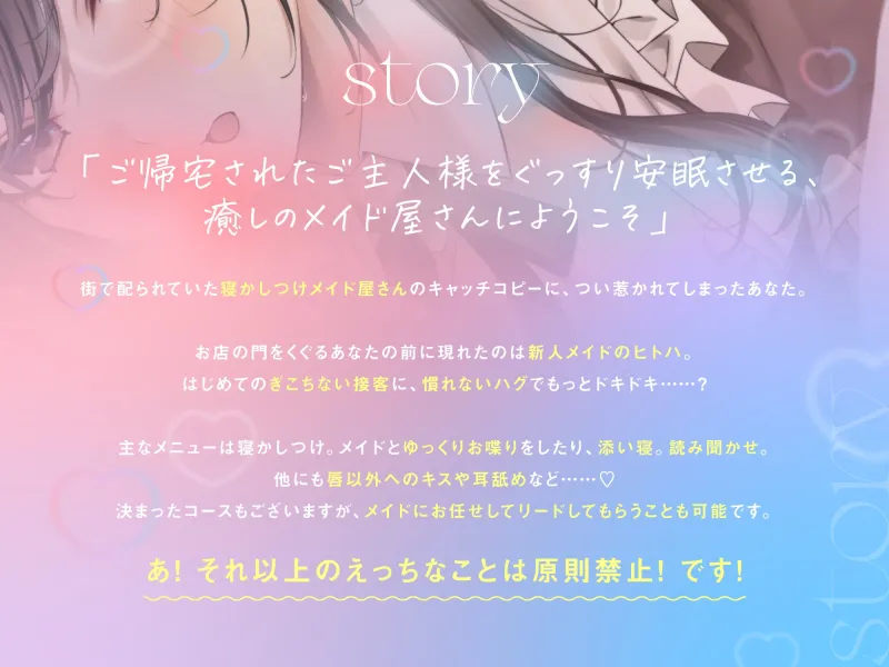 本文説明画像