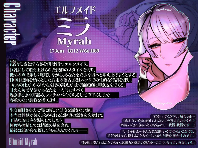 本文説明画像