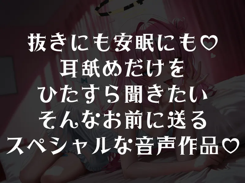 本文説明画像