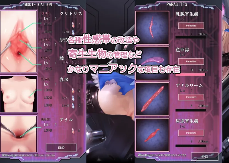 極限改変魔法少女ミスティック・ルーン