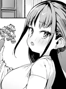 本文説明画像