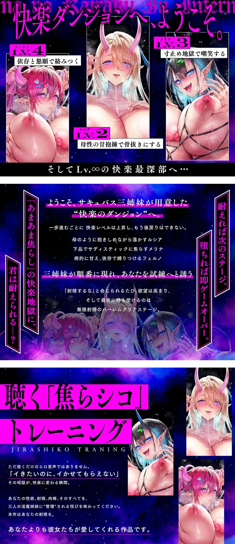 本文説明画像
