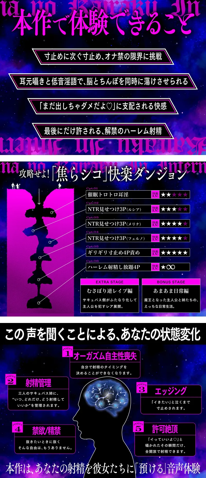 本文説明画像