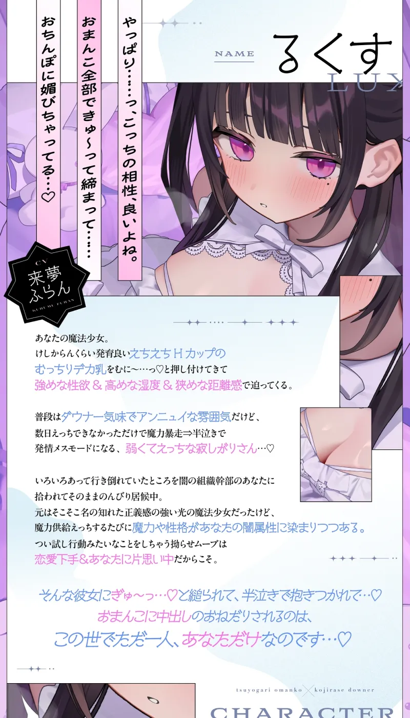 本文説明画像
