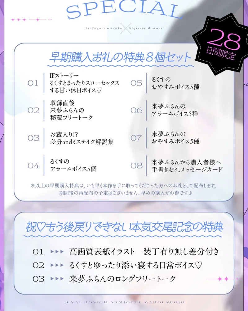 本文説明画像