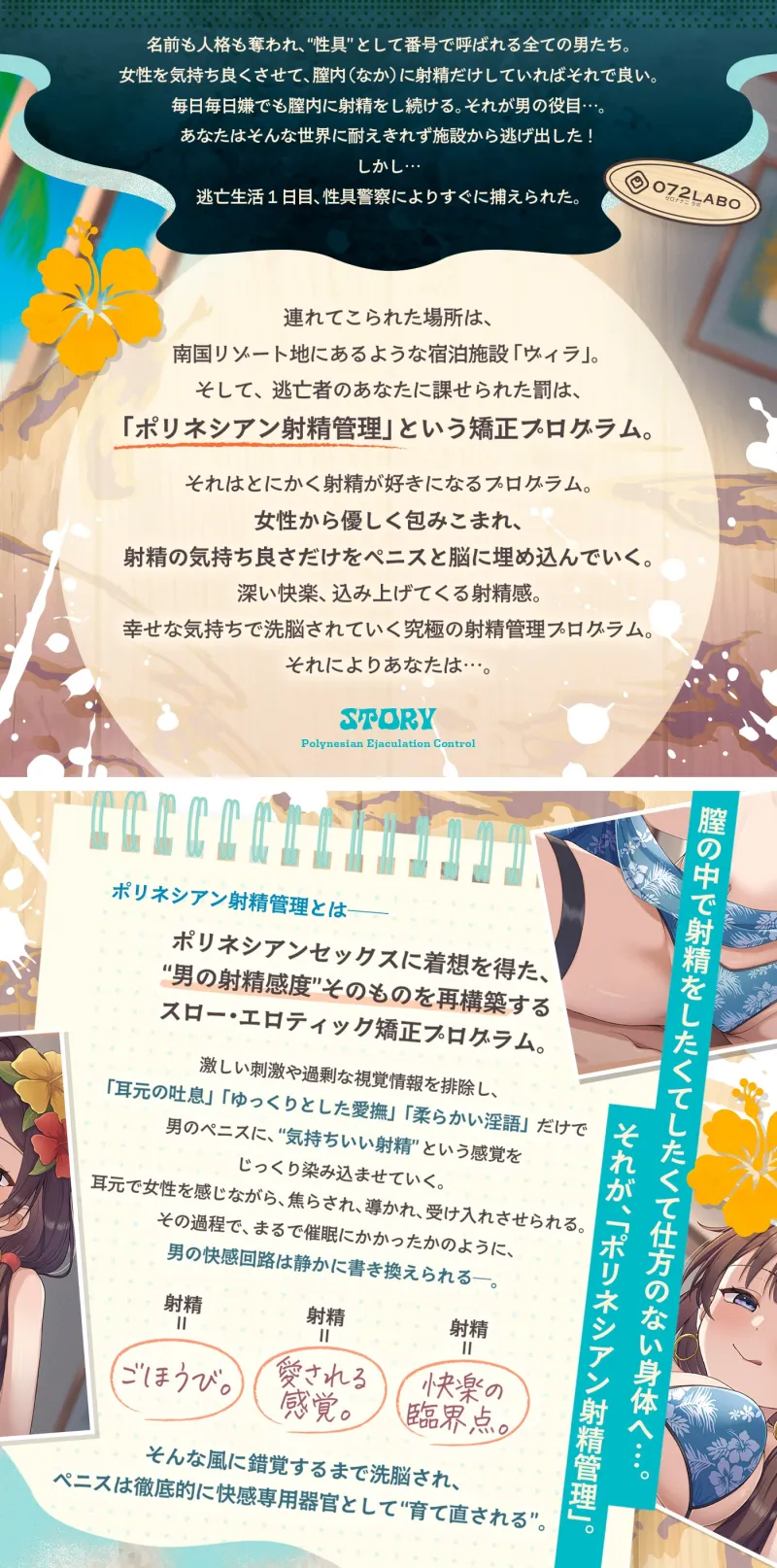 本文説明画像