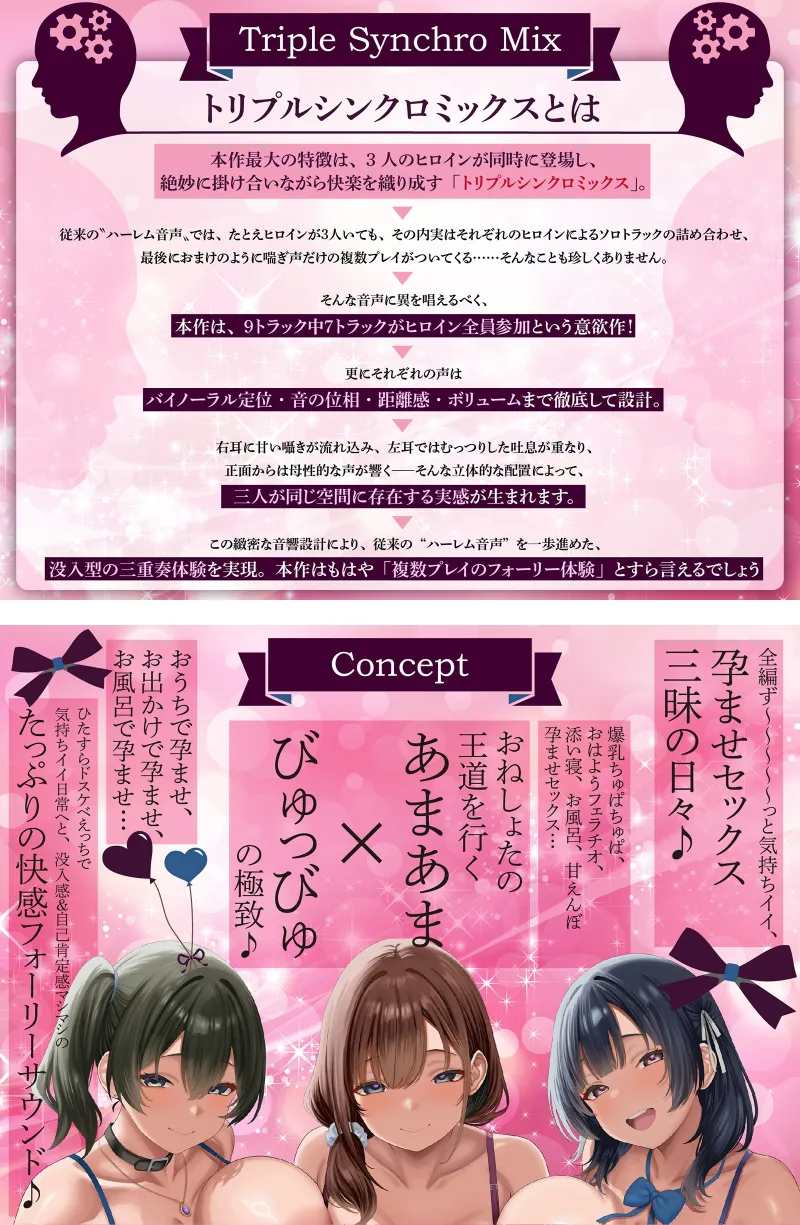 本文説明画像