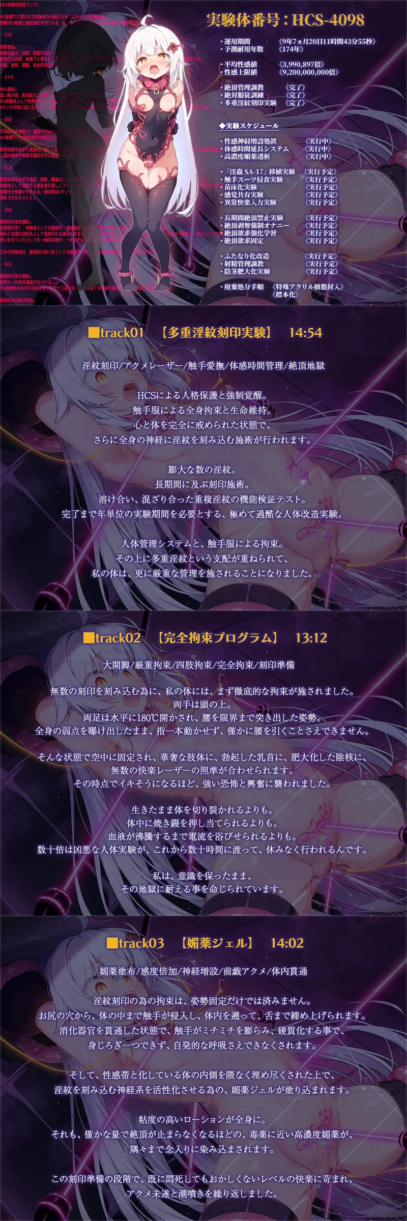 本文説明画像