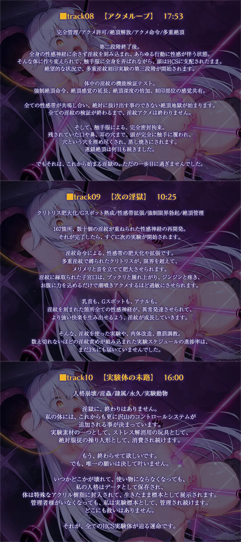 本文説明画像