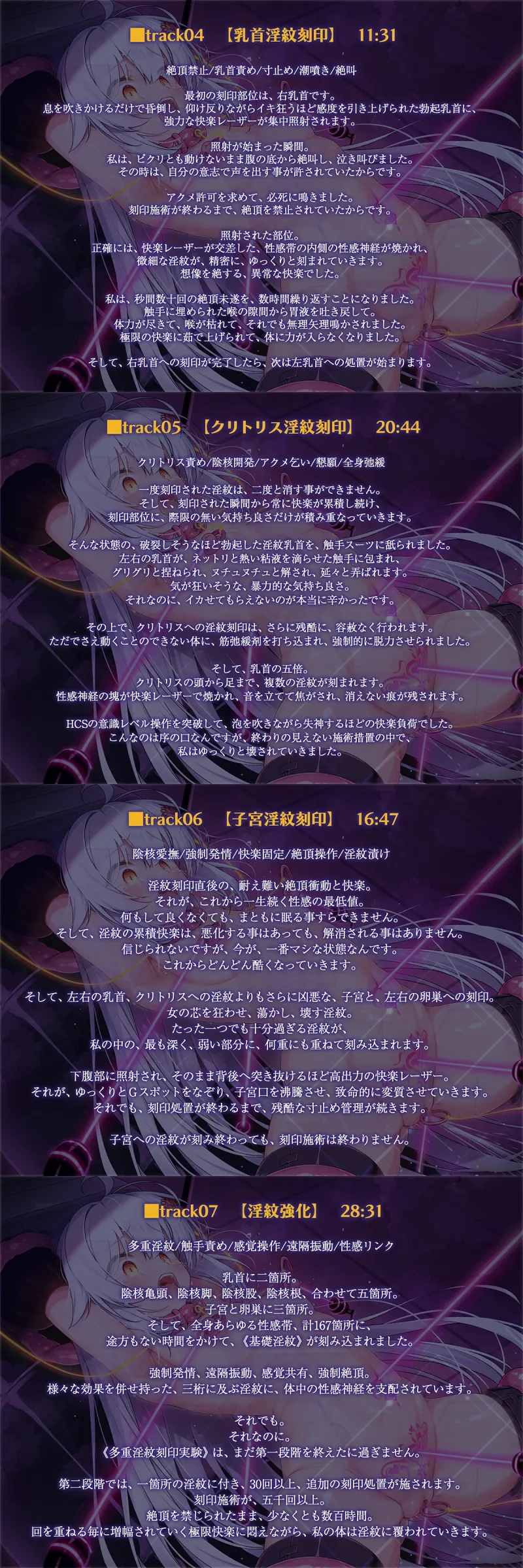 本文説明画像