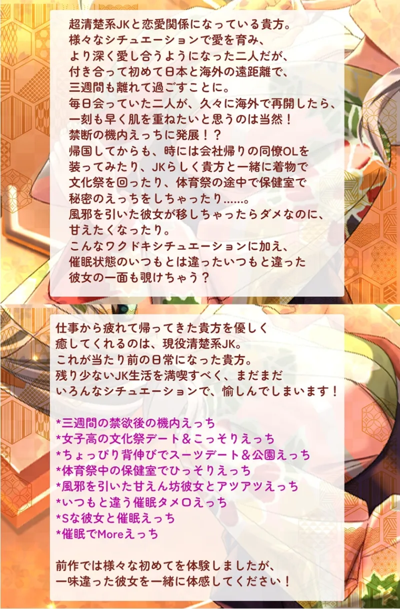 本文説明画像
