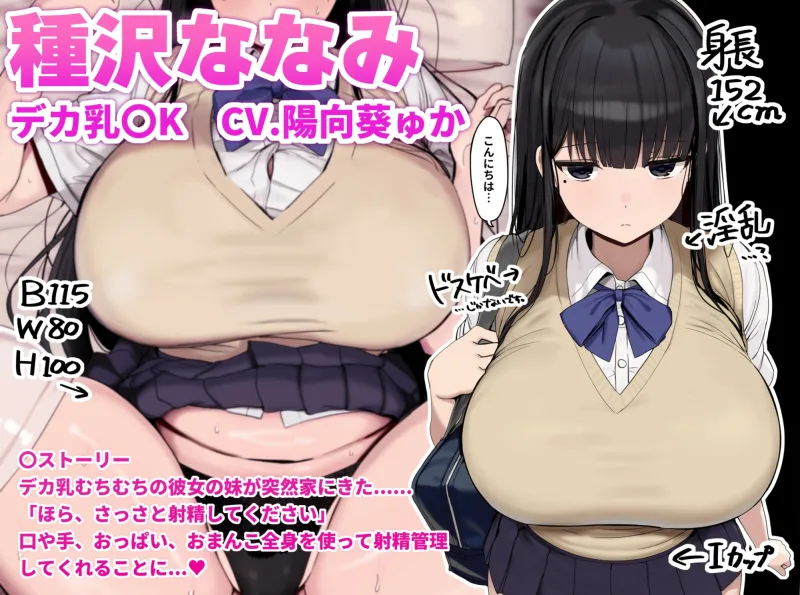 本文説明画像