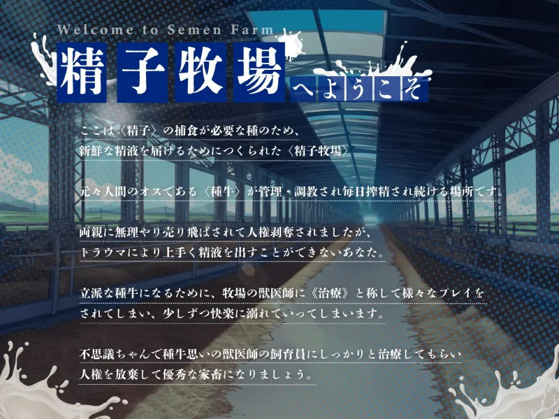 本文説明画像