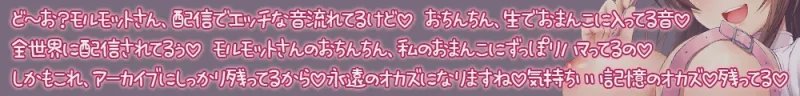 本文説明画像