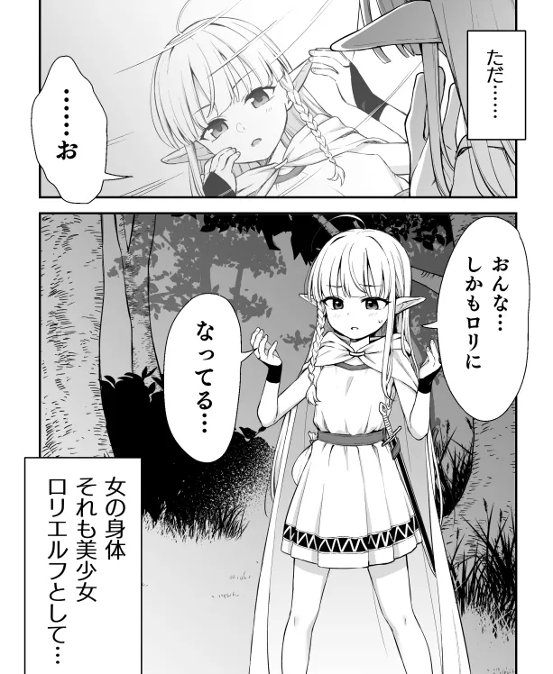 本文説明画像