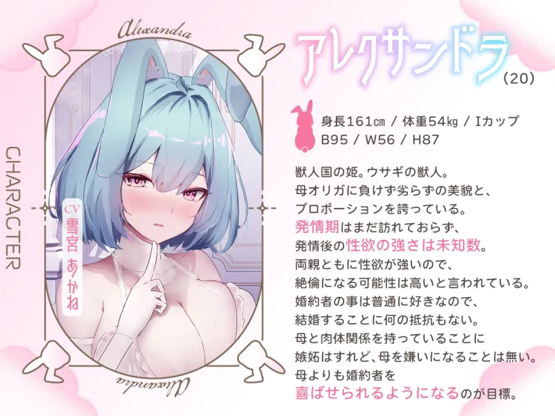 本文説明画像
