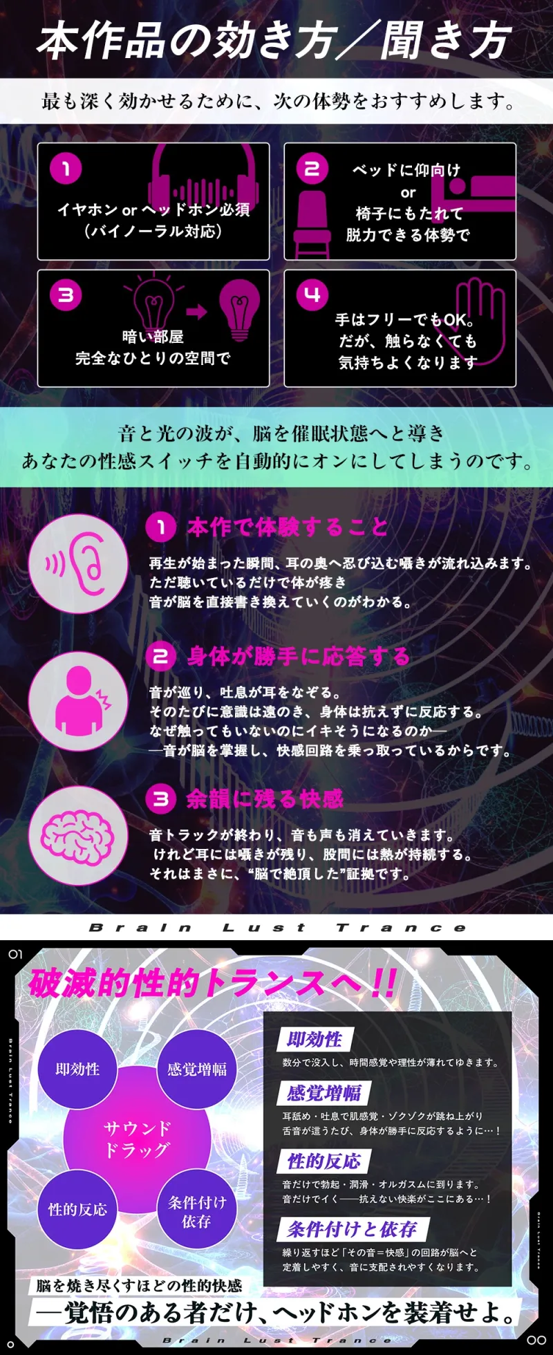 本文説明画像