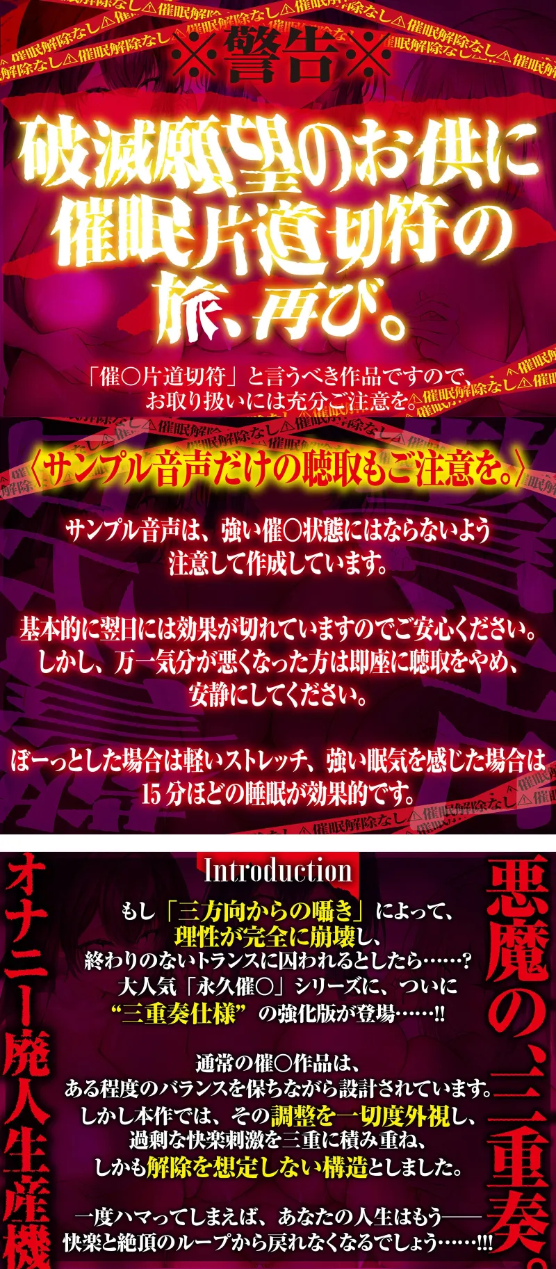 本文説明画像